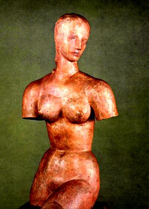 Torso